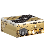 BATERIA ZŁOŻONA GOLDEN TIMES F2 TXB319